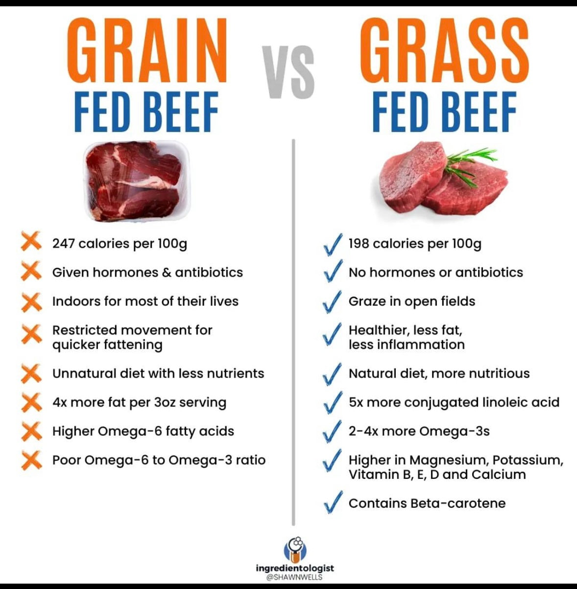 Bundle 10lbs Grass-fed Ground Beef